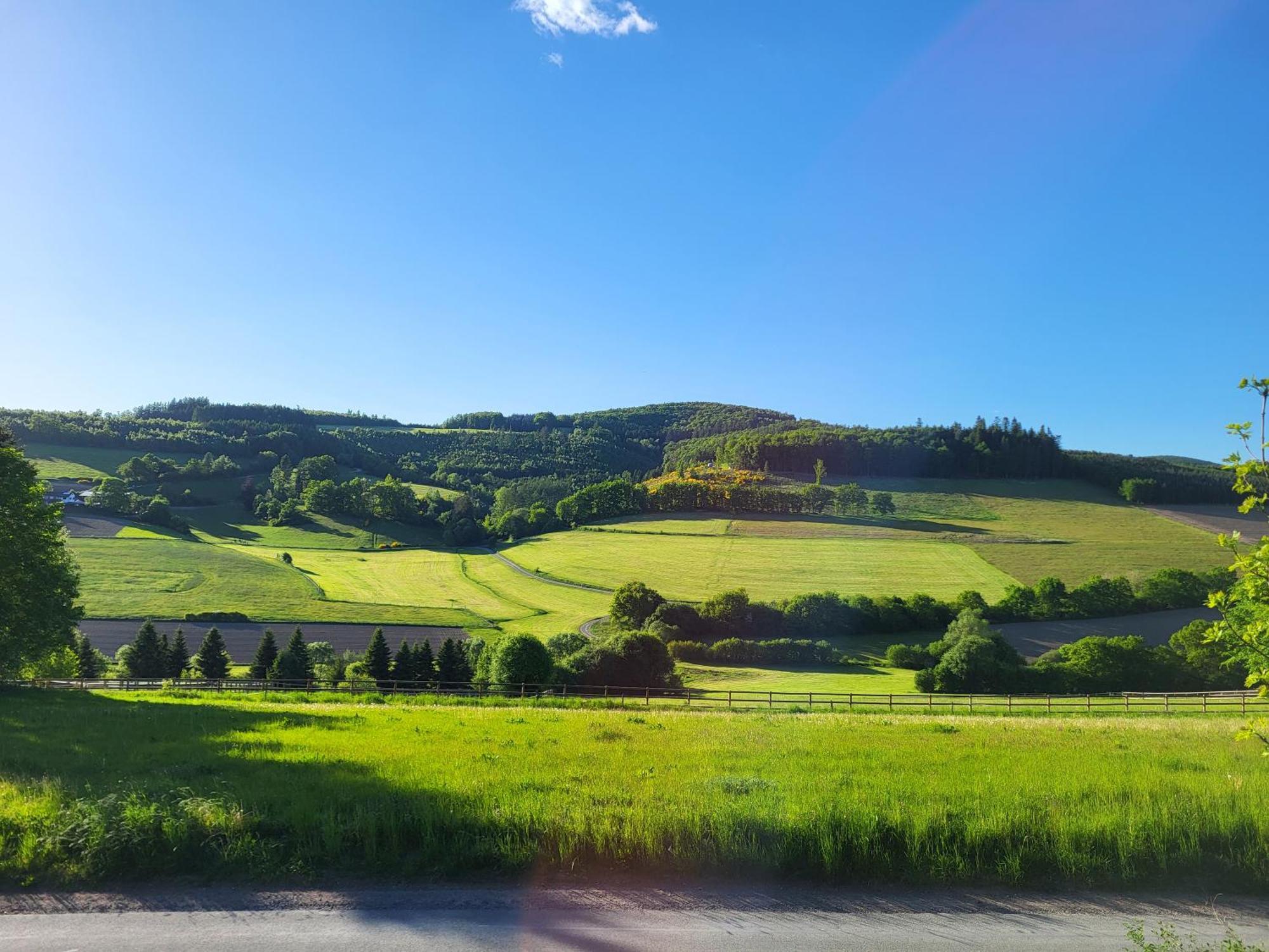 Lausebuche Im Sauerland Διαμέρισμα Lennestadt Εξωτερικό φωτογραφία